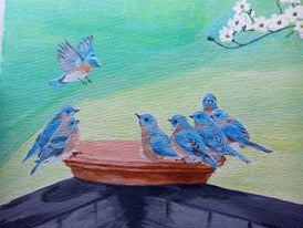 Blue Birds' community