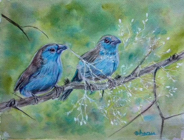 Blue Waxbill bird - blue colour birds
