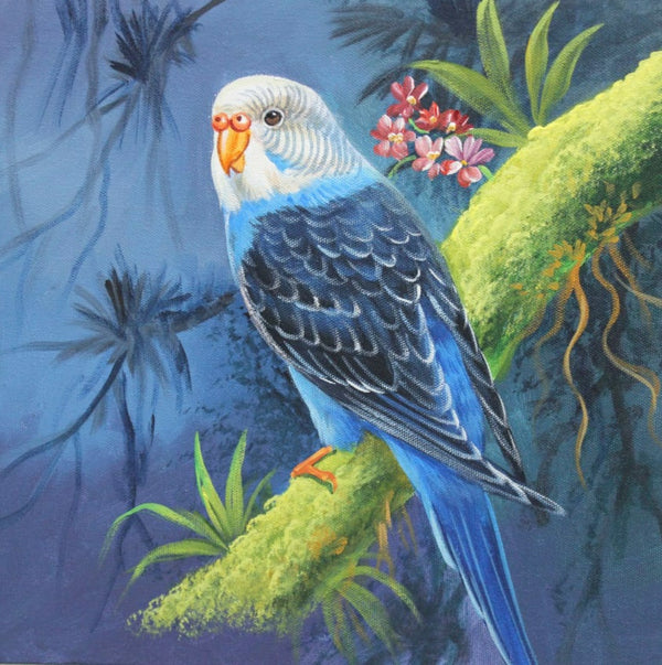 Budgerigar parrot by artoholic