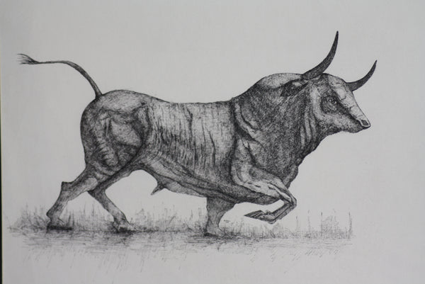 BULL (pen and ink)
