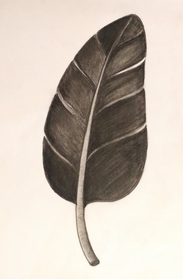 Burnt leaf