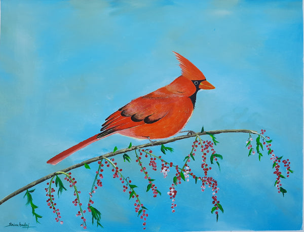 Cardinal Bird On Tree Branch