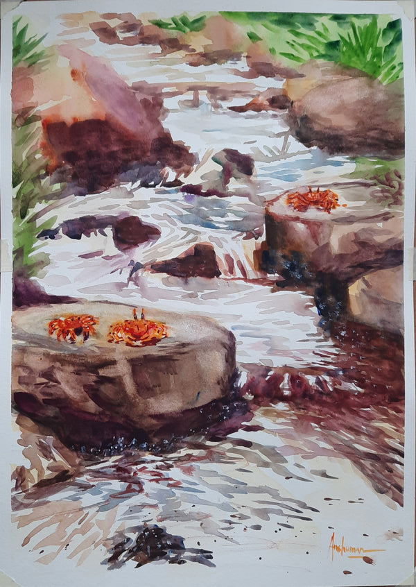 Crabs in a waterfall in watercolor paint