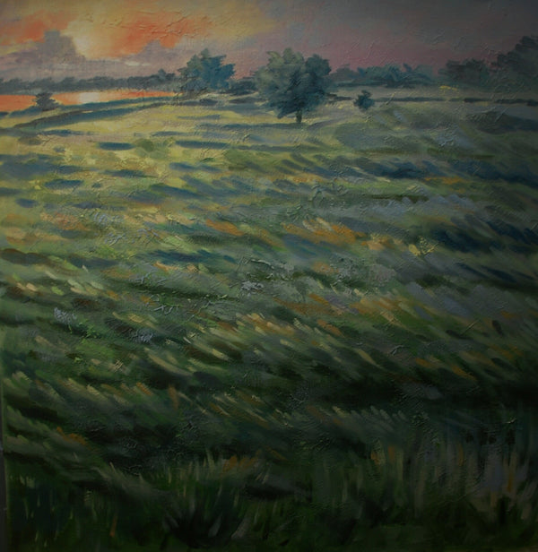 Crop field sunset