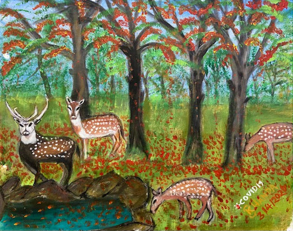 Deers at Kanha Kisli Forest