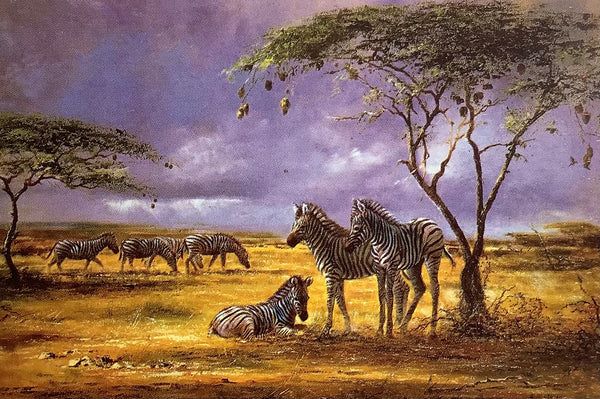 Family of zebra (Artoholic)