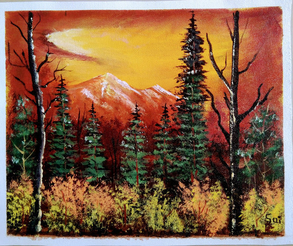 Sunset mountain forest landscape scenery