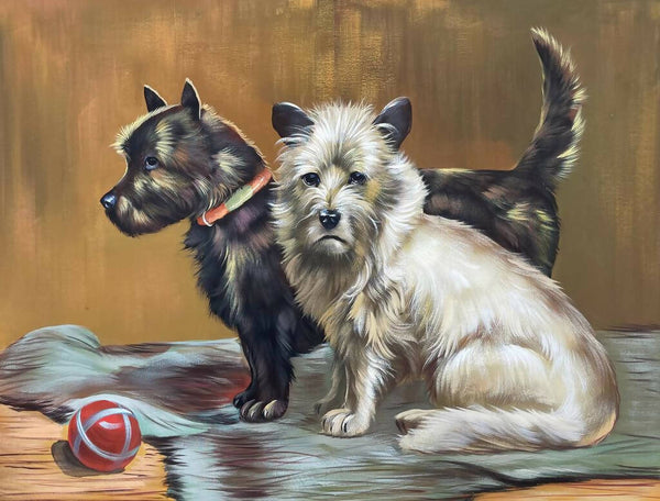 Scottie and terrier dog portrait