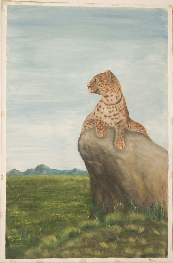 Jawai leopard