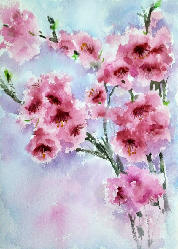 Pink cherry blossom flowers watercolors on paper
