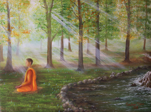 Meditation in Misty Forest