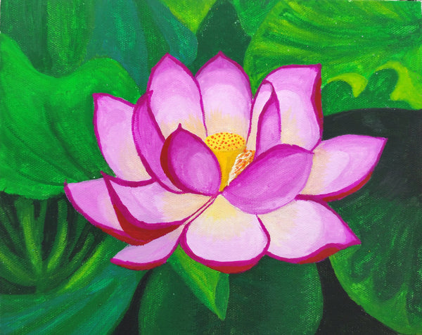 pink lotus in pond