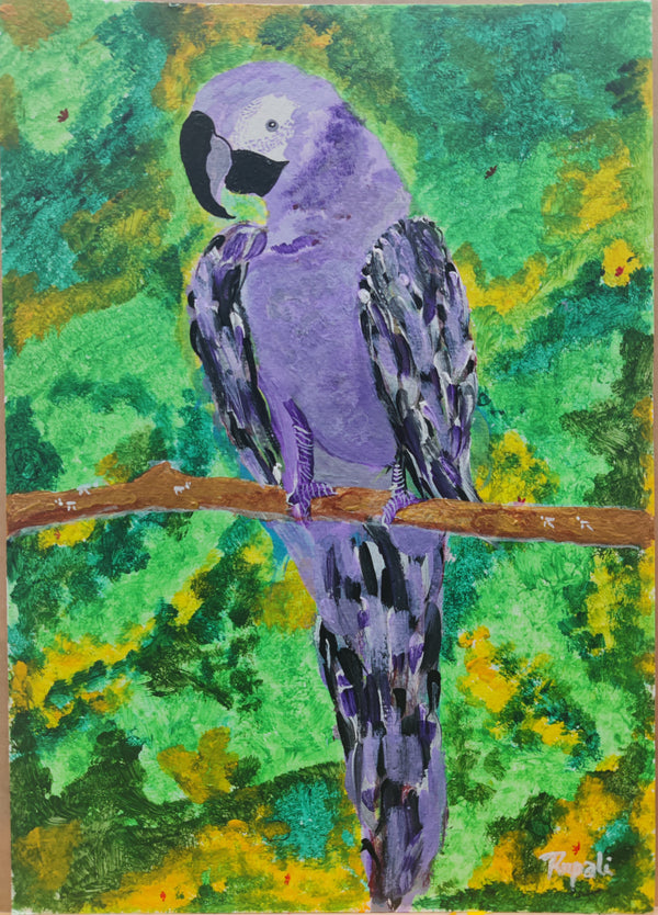 Purple Parrot