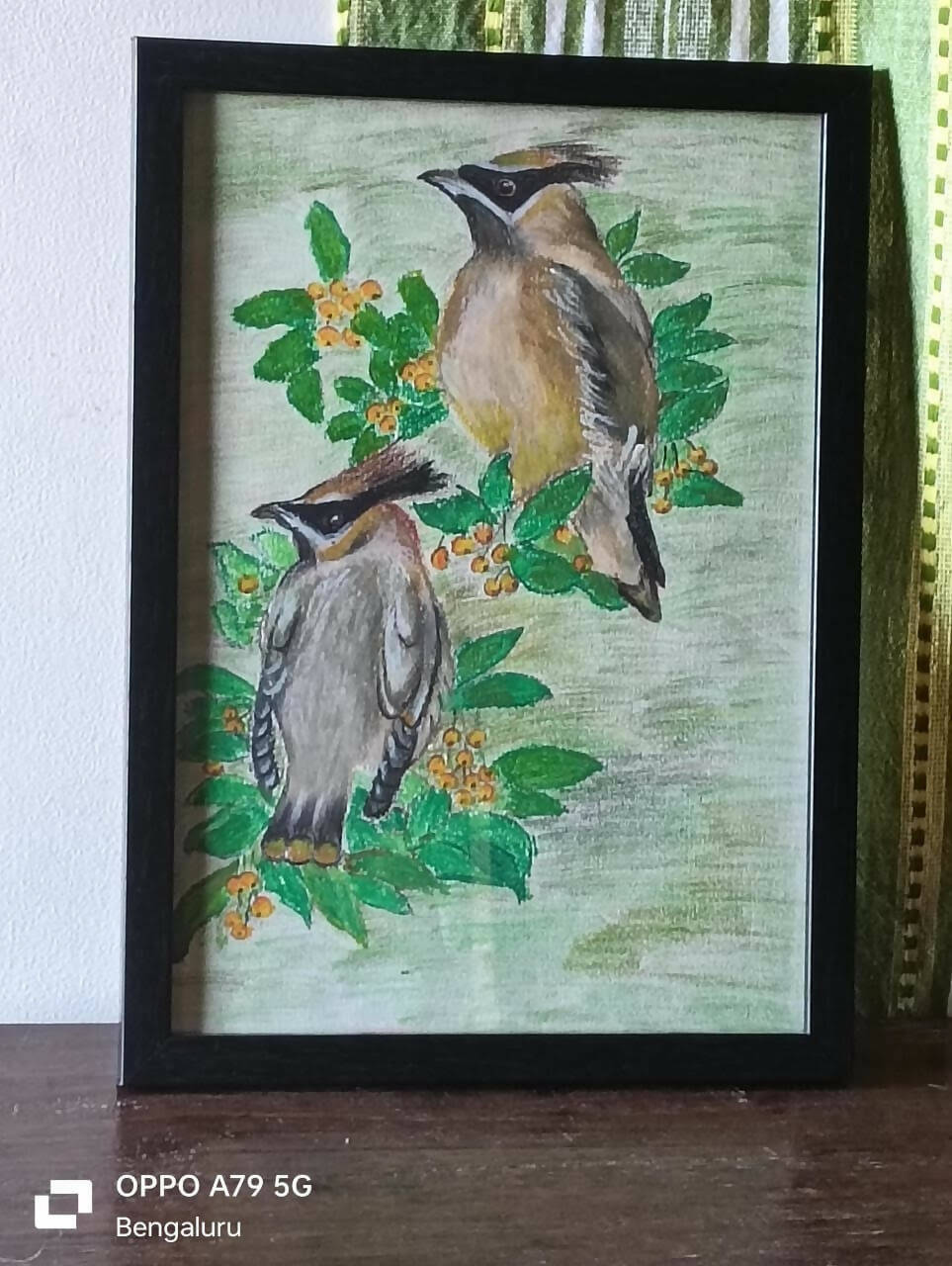 Blue Jay birds with Cherry blossoms in Acrylics
