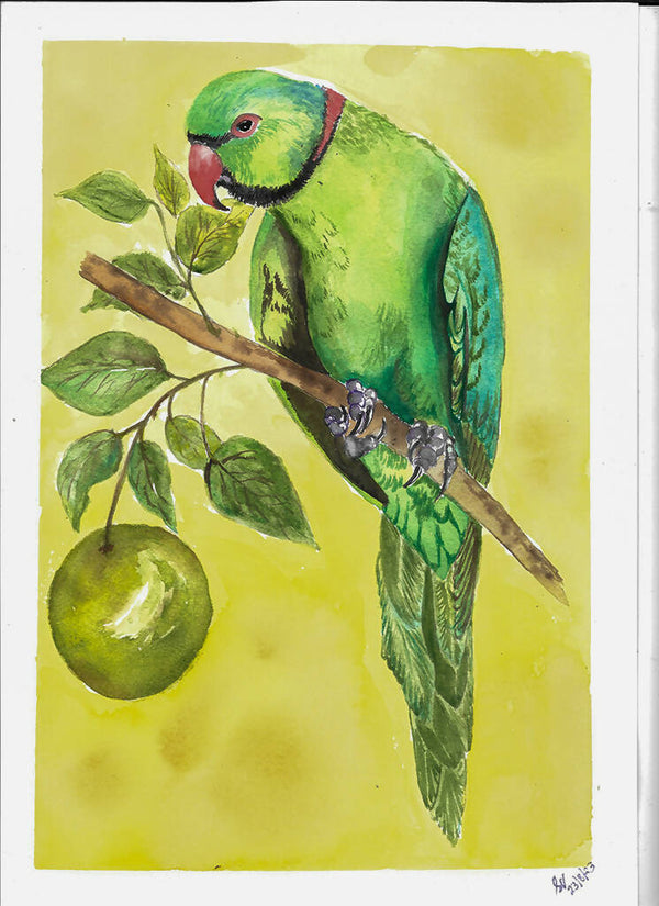 Parrot on the tree
