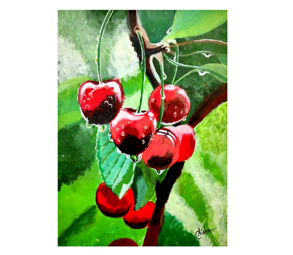 Ripe cherries hanging from a cherry tree branch. Water droplets on fruits, cherry orchard after the rain