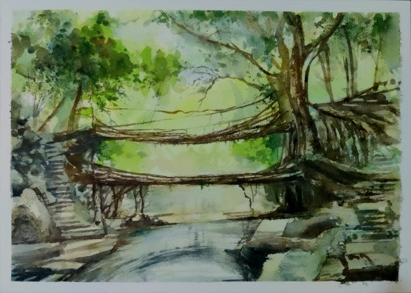 Root Bridges