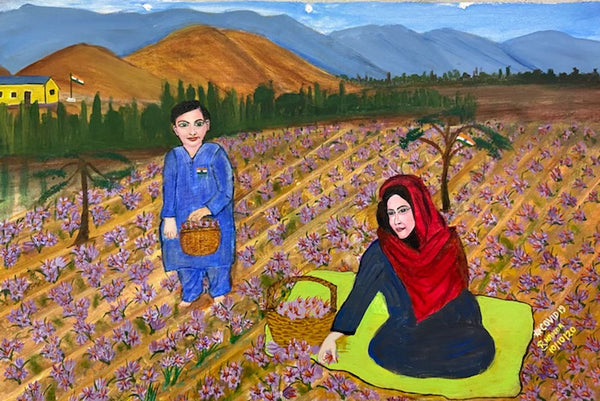 Saffron fields in Pampore Kashmir