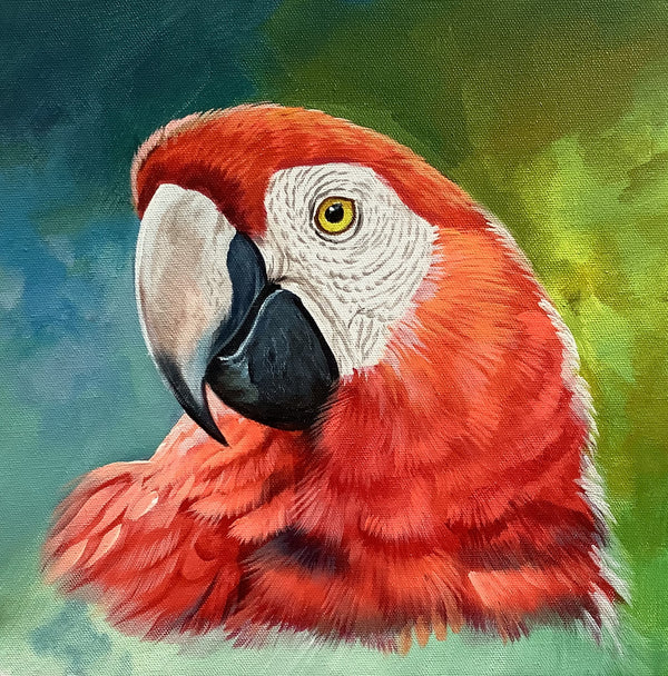Scarlet Macaw Parrot (ARTOHOLIC)
