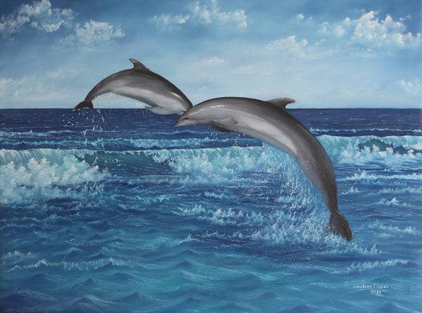 Sea waves and dolphin