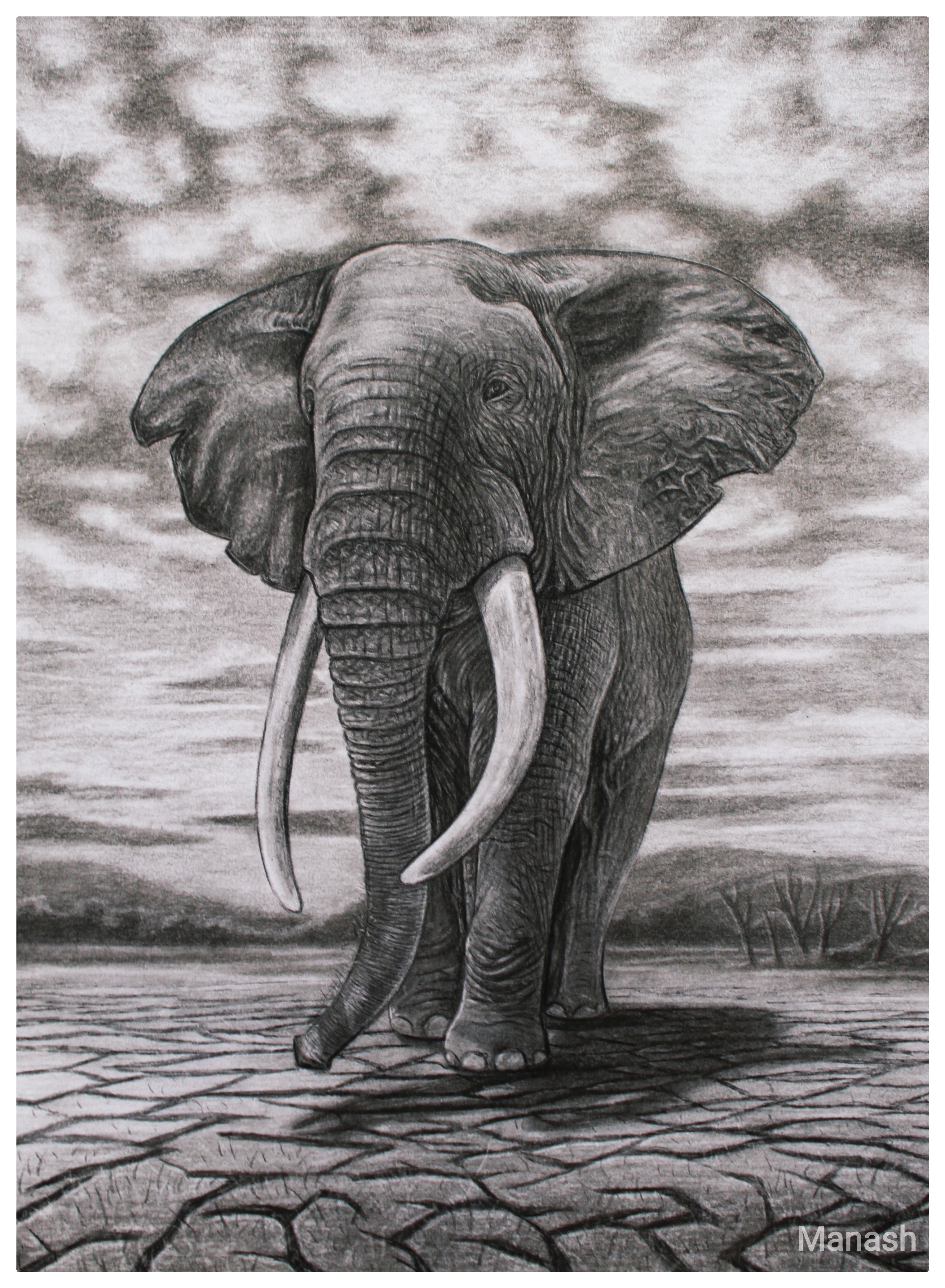 Elephant Drawing Book: Elephant , Hathi Hatti: Dighore, Mis Madhuri Hivraj:  9798407473169: Amazon.com: Books