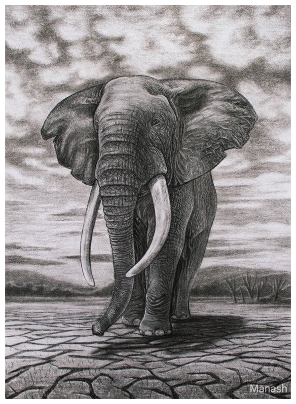 Sketch of Hathi by charcoal pencil