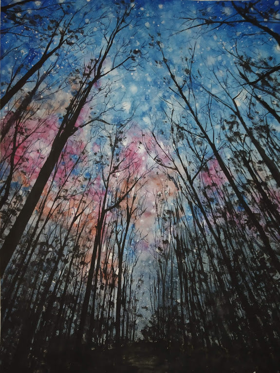 starry night at dark forest