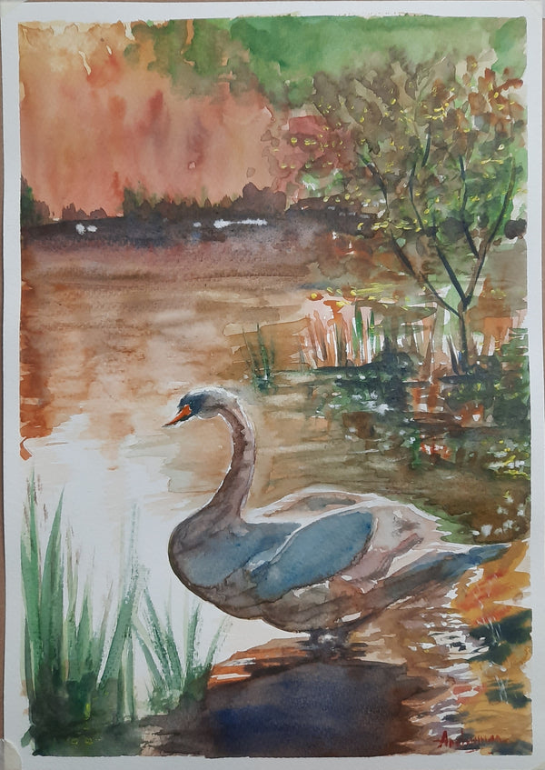 Swan at twilight in watercolor paint