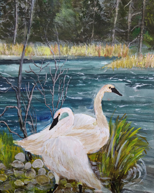 Swans near lake