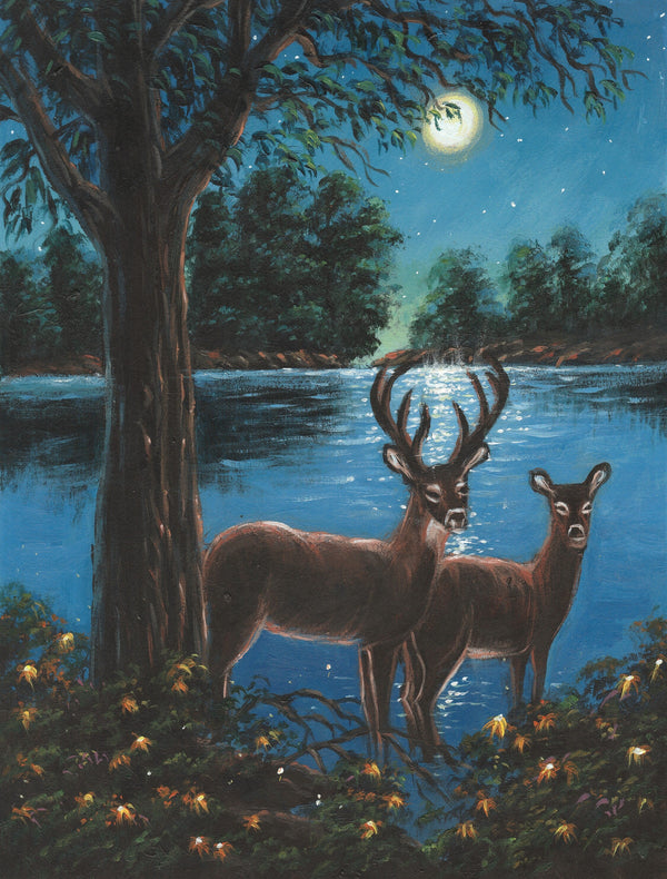 The Deer Couple In The Moonlight
