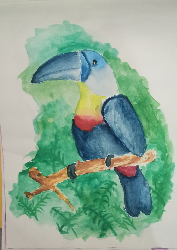 The tou-tou-toucan