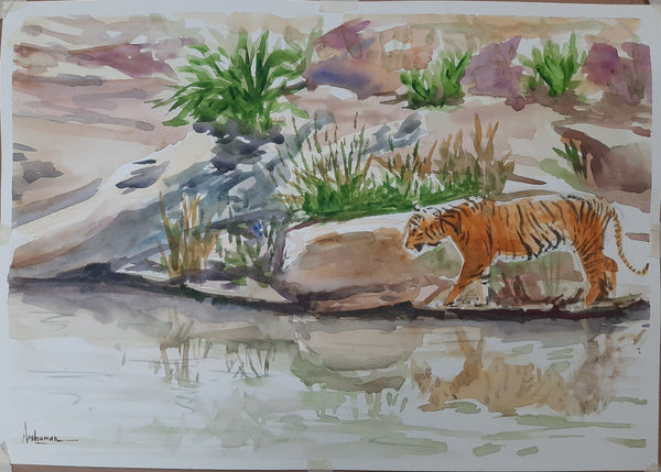 Tiger Thirsty Beast" in watercolor "