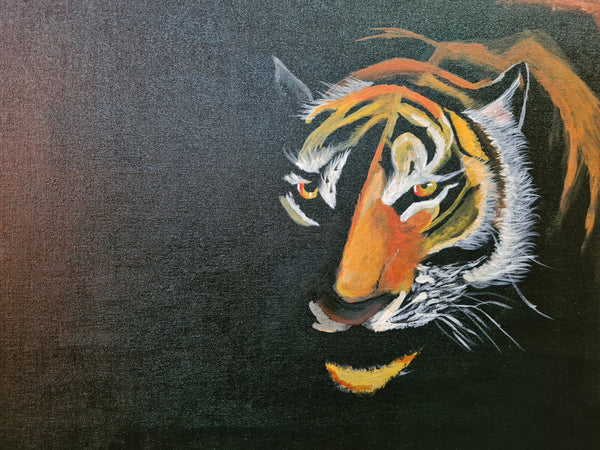 Tiger in the Dark