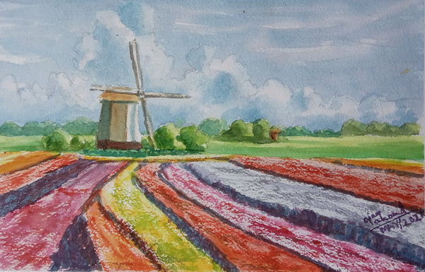 Tulip and Windmill