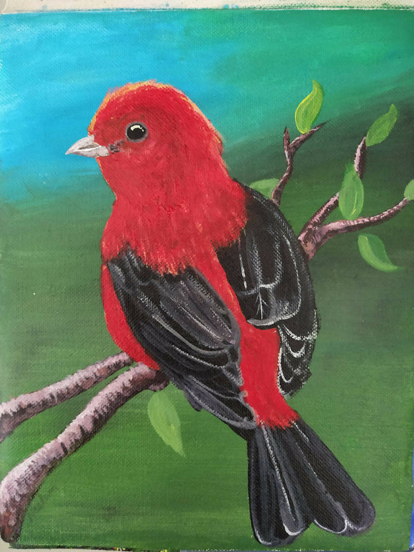 Little red bird