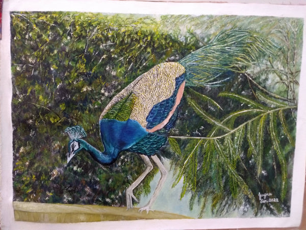Oil painting of Peacock on Canvas