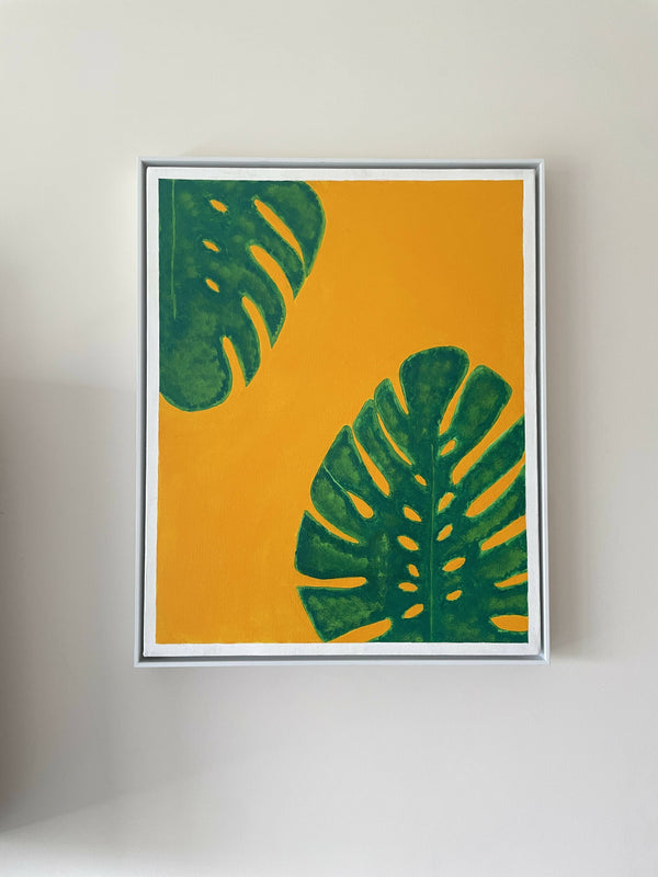 Monstera