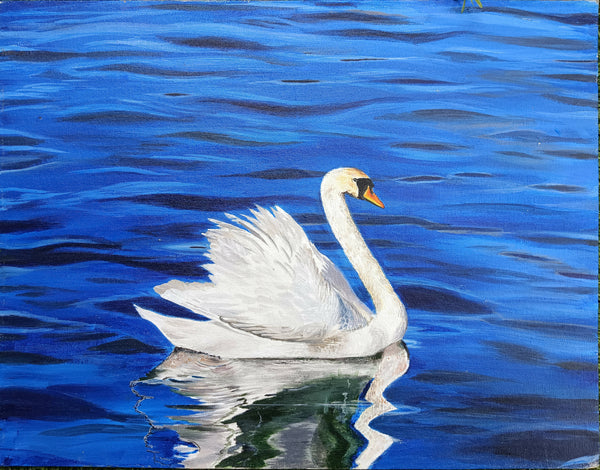 Serenity in azure: A swan's elegance
