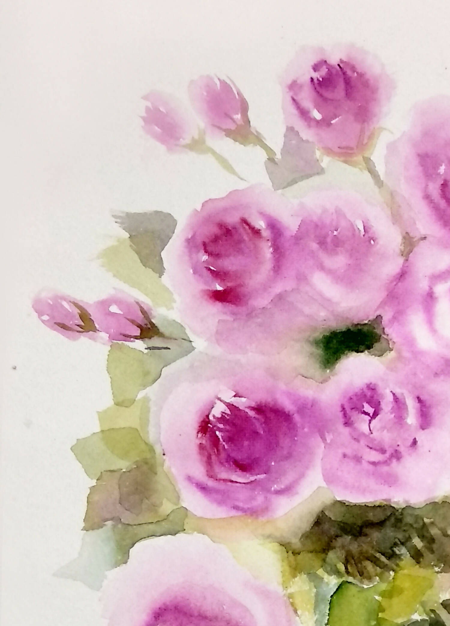 Pink Roses watercolors on paper
