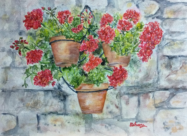 Wall hanging pots of Geranium flowers - flowers on wall - stone wall