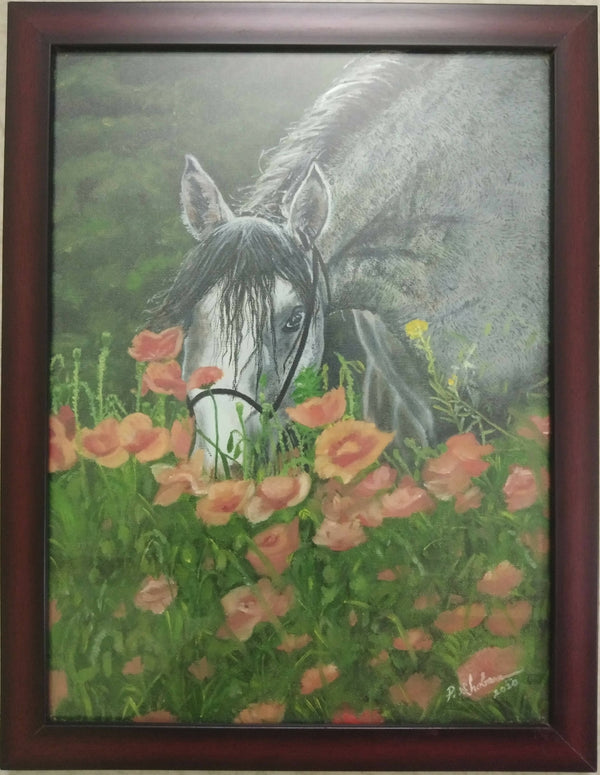 Poppies horse Framed