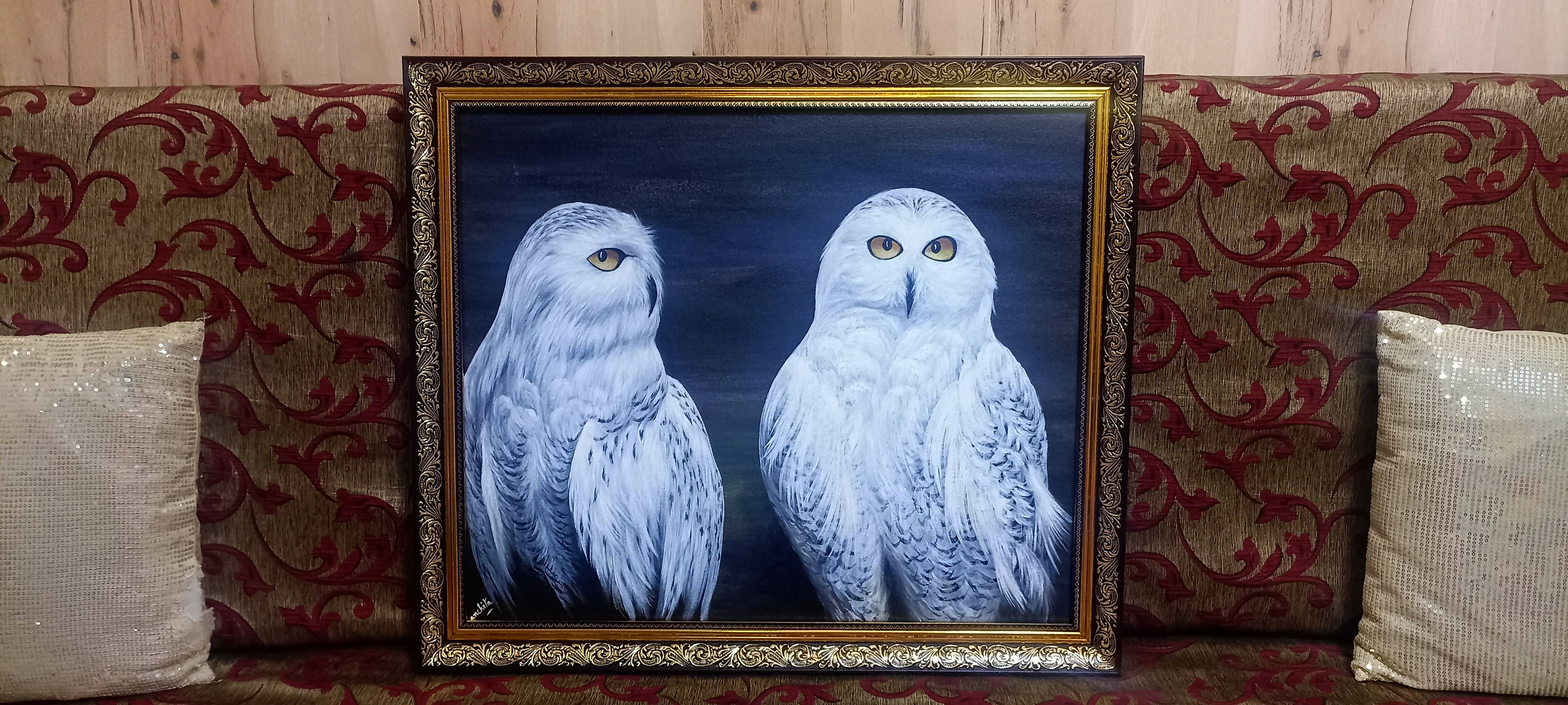 White owls