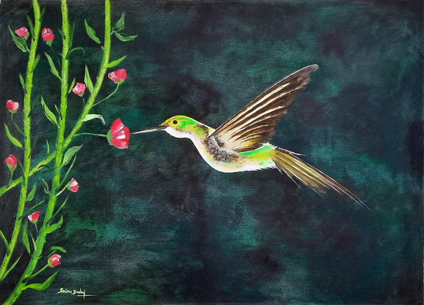 Yellow wings Hummingbird