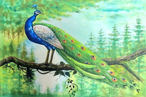 Peacock in a jungle